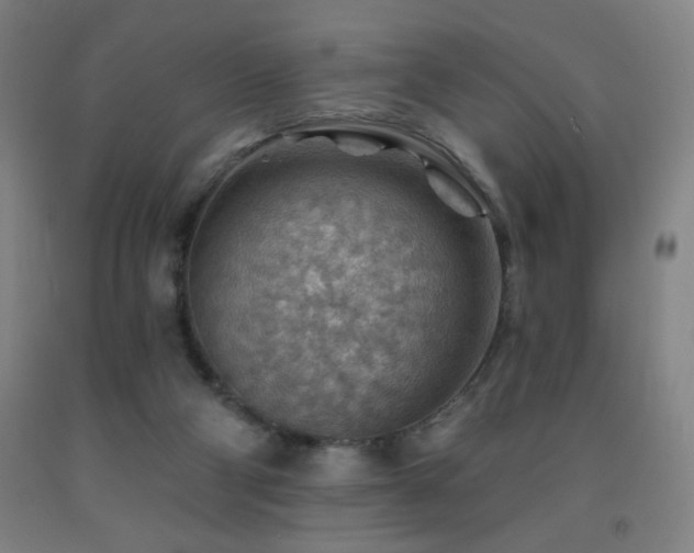 X0000093260114200709261739