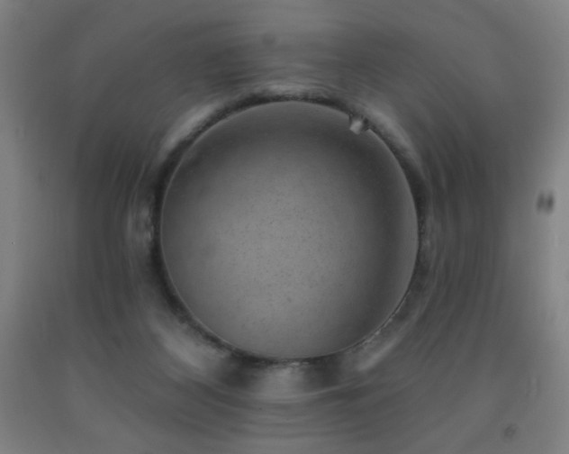 X0000093260116200709261739