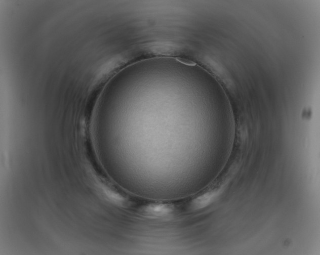 X0000093260117200709261739
