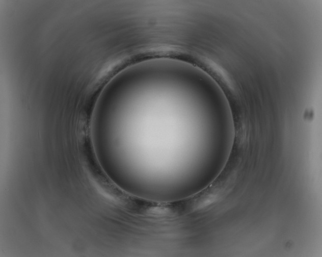 X0000093260119200709261739