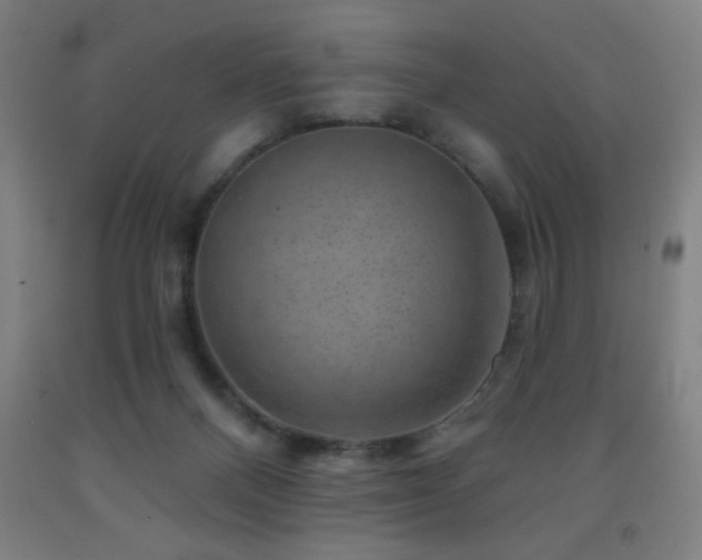 X0000093260120200709261739