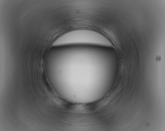 X0000093260121200709261739