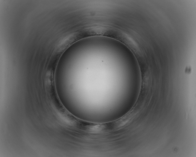 X0000093260122200709261739