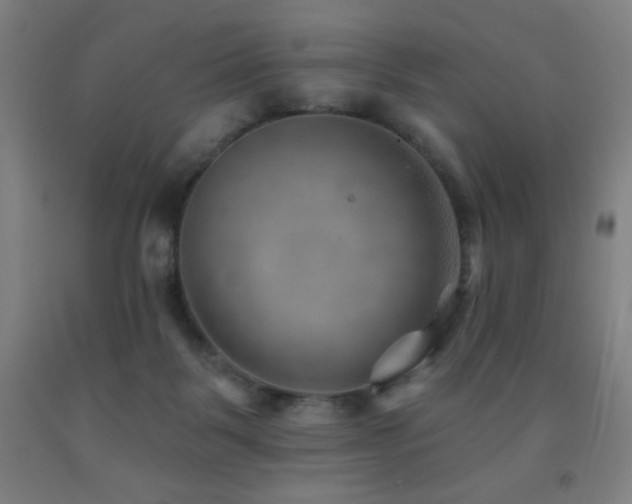 X0000093260123200709261739