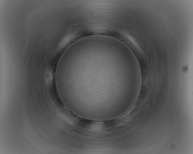 X0000093260124200709261739