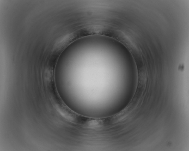 X0000093260126200709261739
