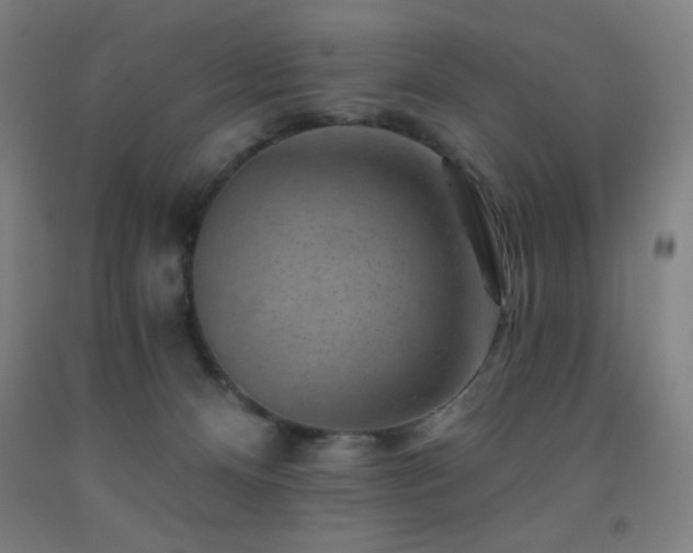 X0000093260128200709261739