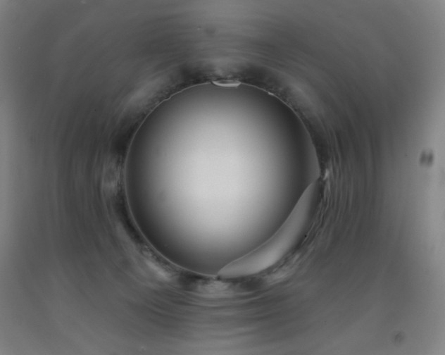 X0000093260129200709261739
