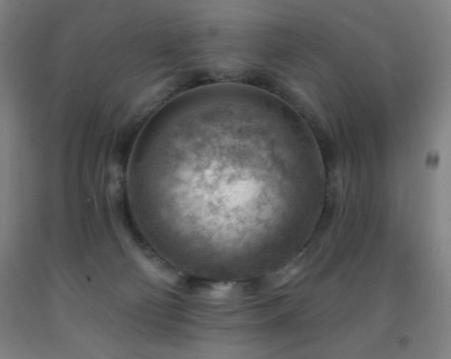 X0000093260130200709261739