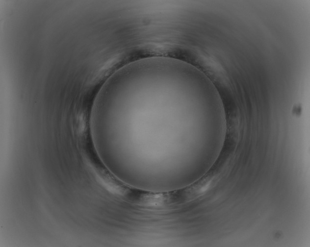 X0000093260131200709261739
