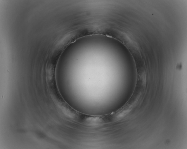 X0000093260133200709261739