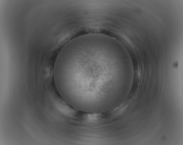 X0000093260134200709261739