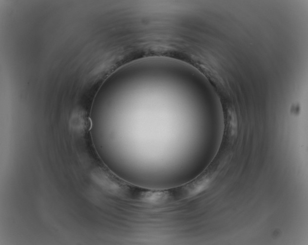 X0000093260135200709261739