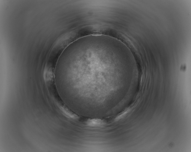 X0000093260137200709261739