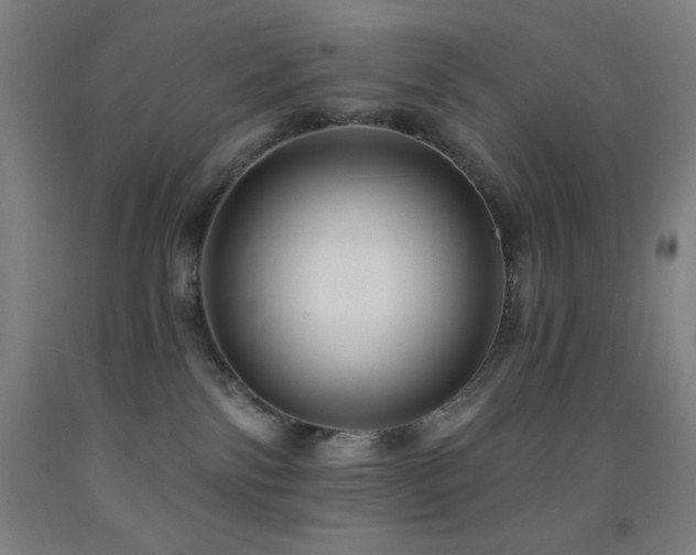 X0000093260138200709261739