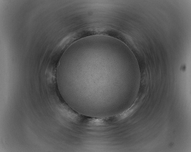 X0000093260140200709261739