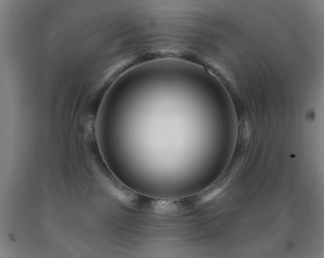 X0000093260141200709261739