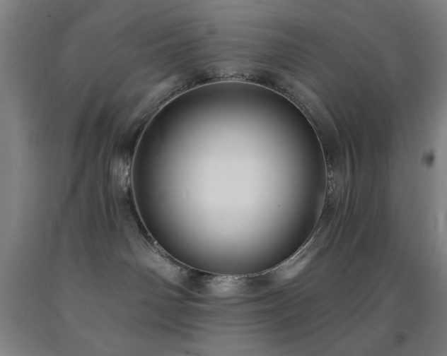 X0000093260142200709261739