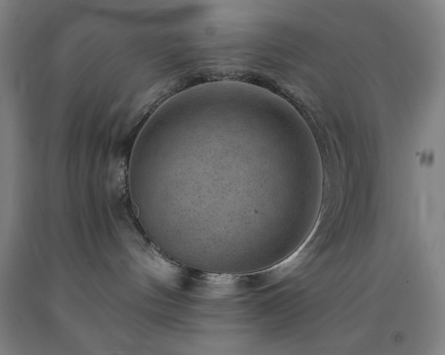 X0000093260144200709261739