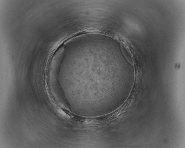 X0000093260145200709261738