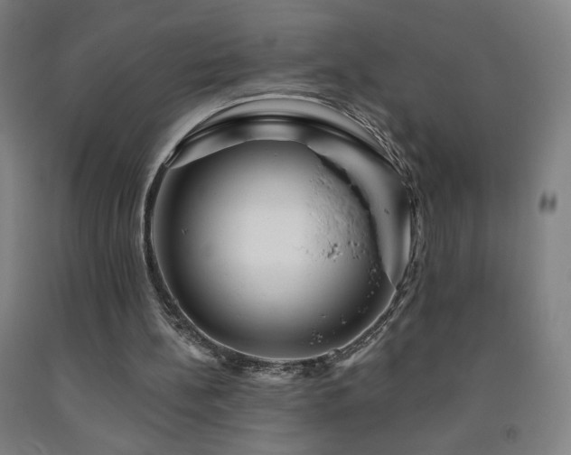 X0000093260148200709261738