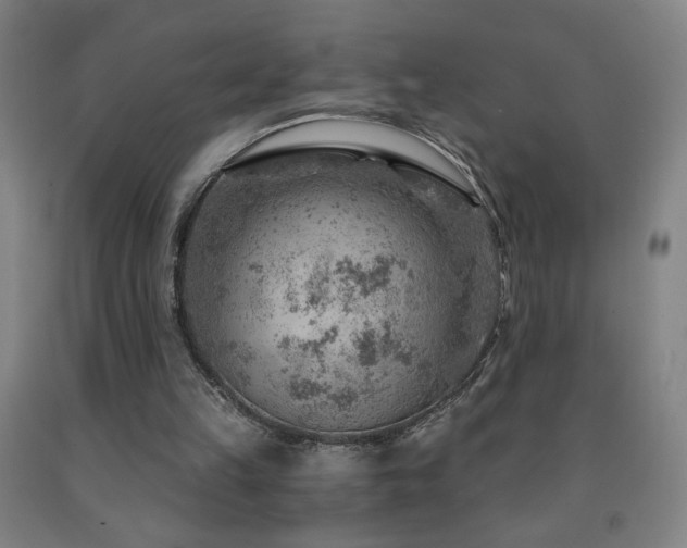 X0000093260149200709261738