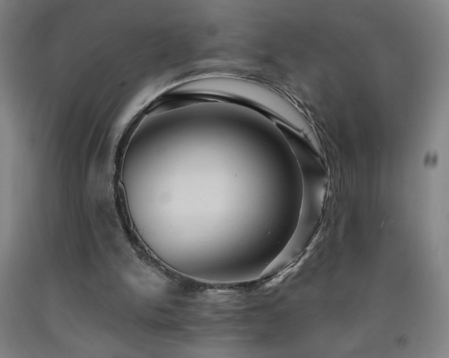 X0000093260150200709261738