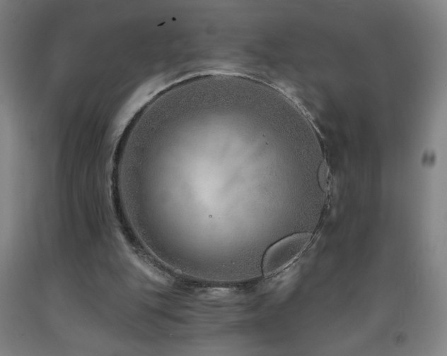 X0000093260151200709261738