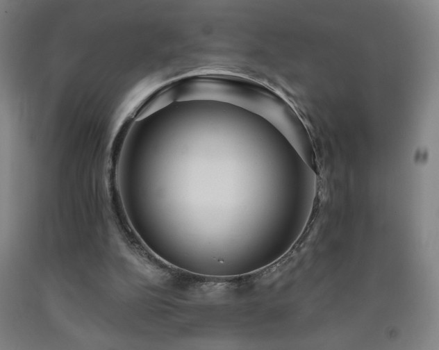 X0000093260152200709261738