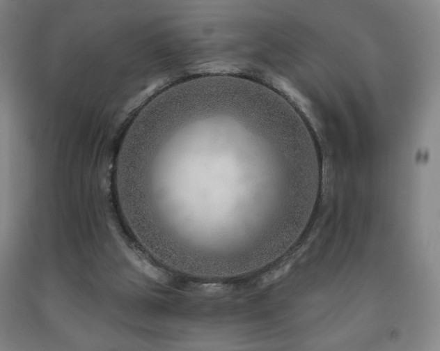 X0000093260153200709261738