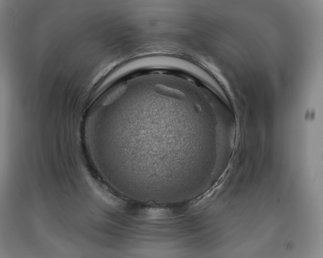 X0000093260154200709261738