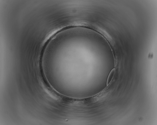 X0000093260155200709261738