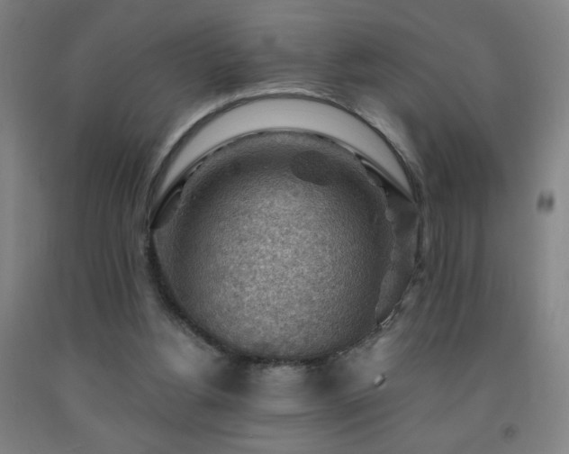 X0000093260156200709261738