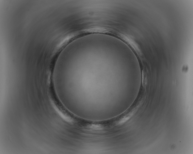 X0000093260157200709261738