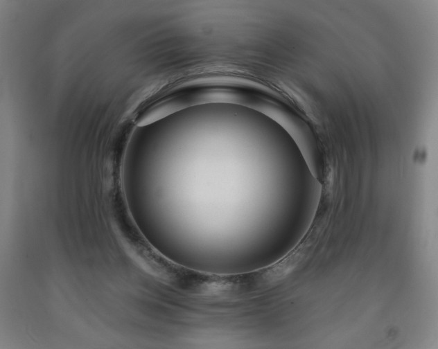 X0000093260158200709261738