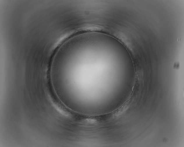 X0000093260159200709261738