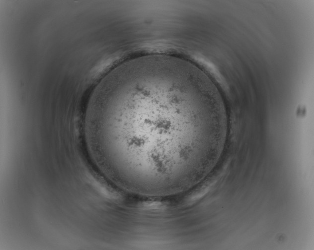 X0000093260161200709261739