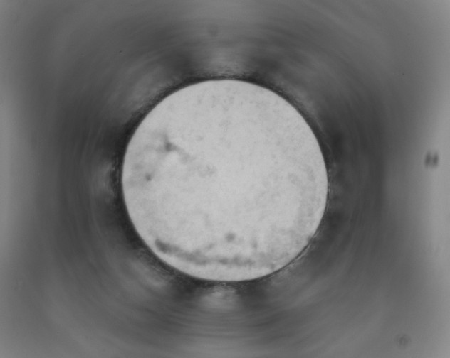 X0000093260162200709261739