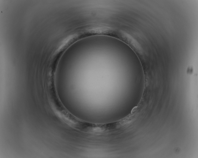 X0000093260163200709261739