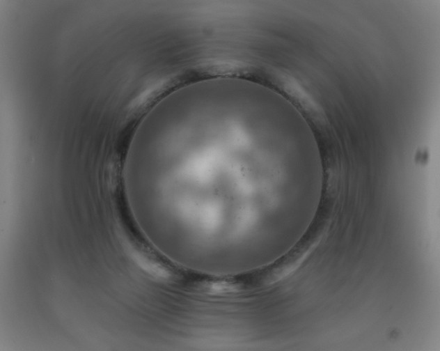 X0000093260165200709261739