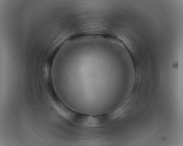 X0000093260166200709261739