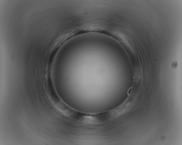 X0000093260167200709261739