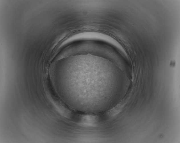 X0000093260168200709261739