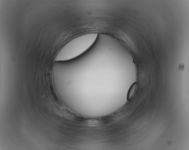 X0000093260169200709261739