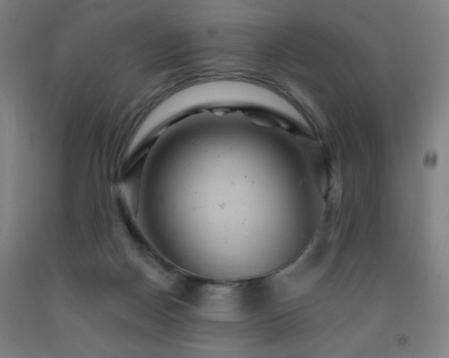 X0000093260170200709261739
