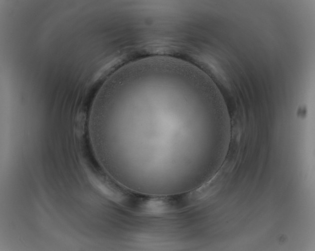 X0000093260171200709261739