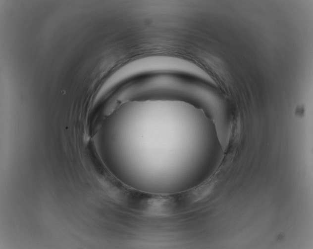 X0000093260172200709261739