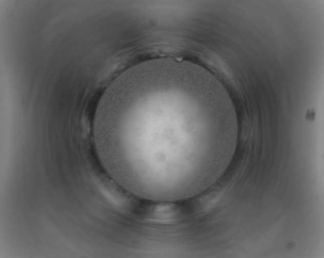 X0000093260173200709261739