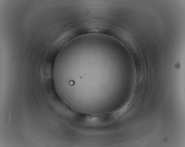 X0000093260174200709261739