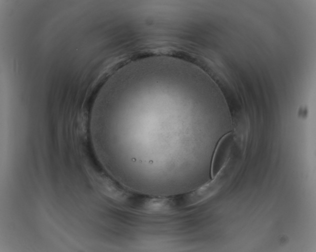 X0000093260175200709261739